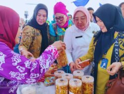 AKU dan BKKBN Sinergi Berdayakan Ekonomi Keluarga