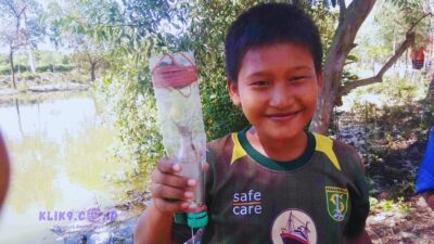 Ini Tampilan dan Cara Kerja Alat Pancing dari Bekas Botol Larutan